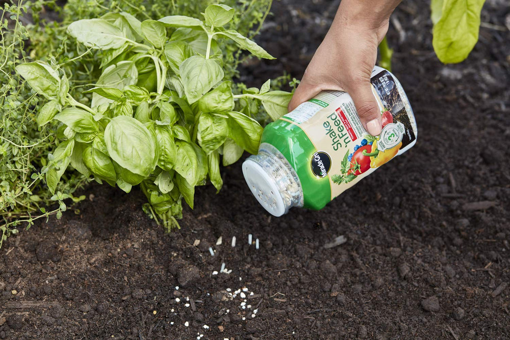 Miracle-Gro Shake 'N Feed Plant Food 6-pack display