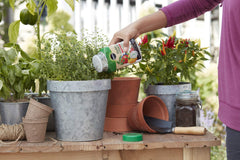 Miracle-Gro Shake 'N Feed Plant Food in use on garden plants