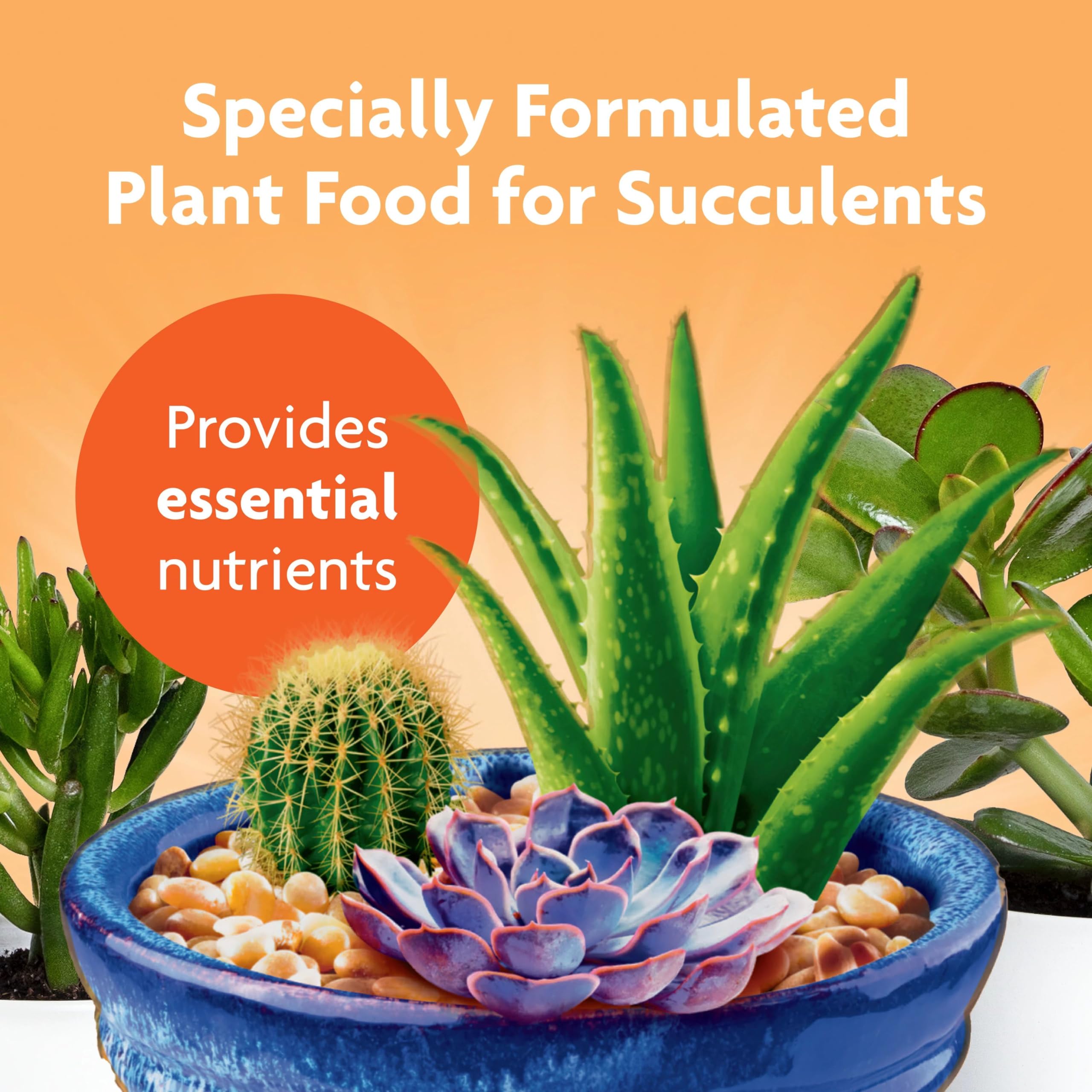 Miracle-Gro Succulent Plant Food application method with pump