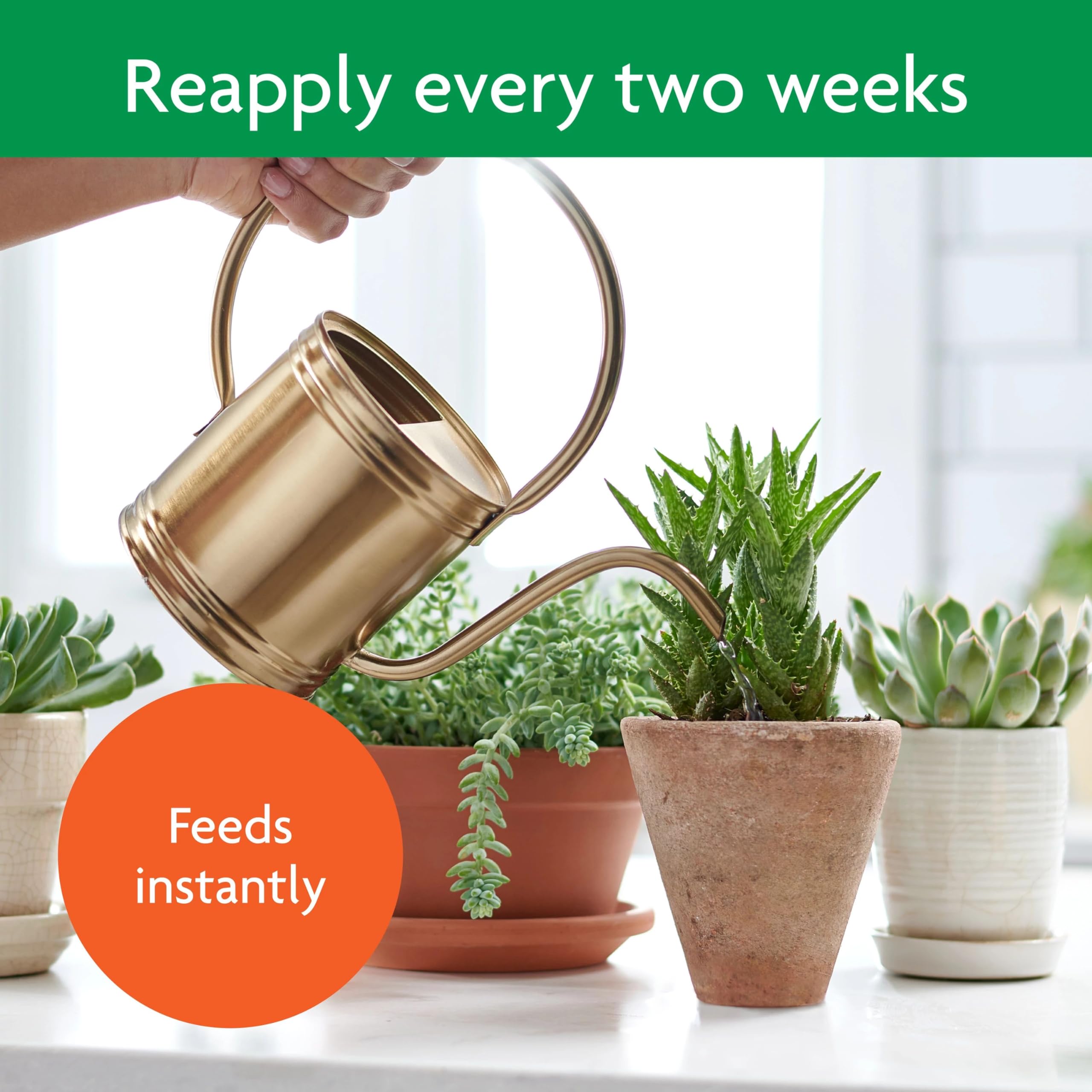 Miracle-Gro Succulent Plant Food in a garden setting