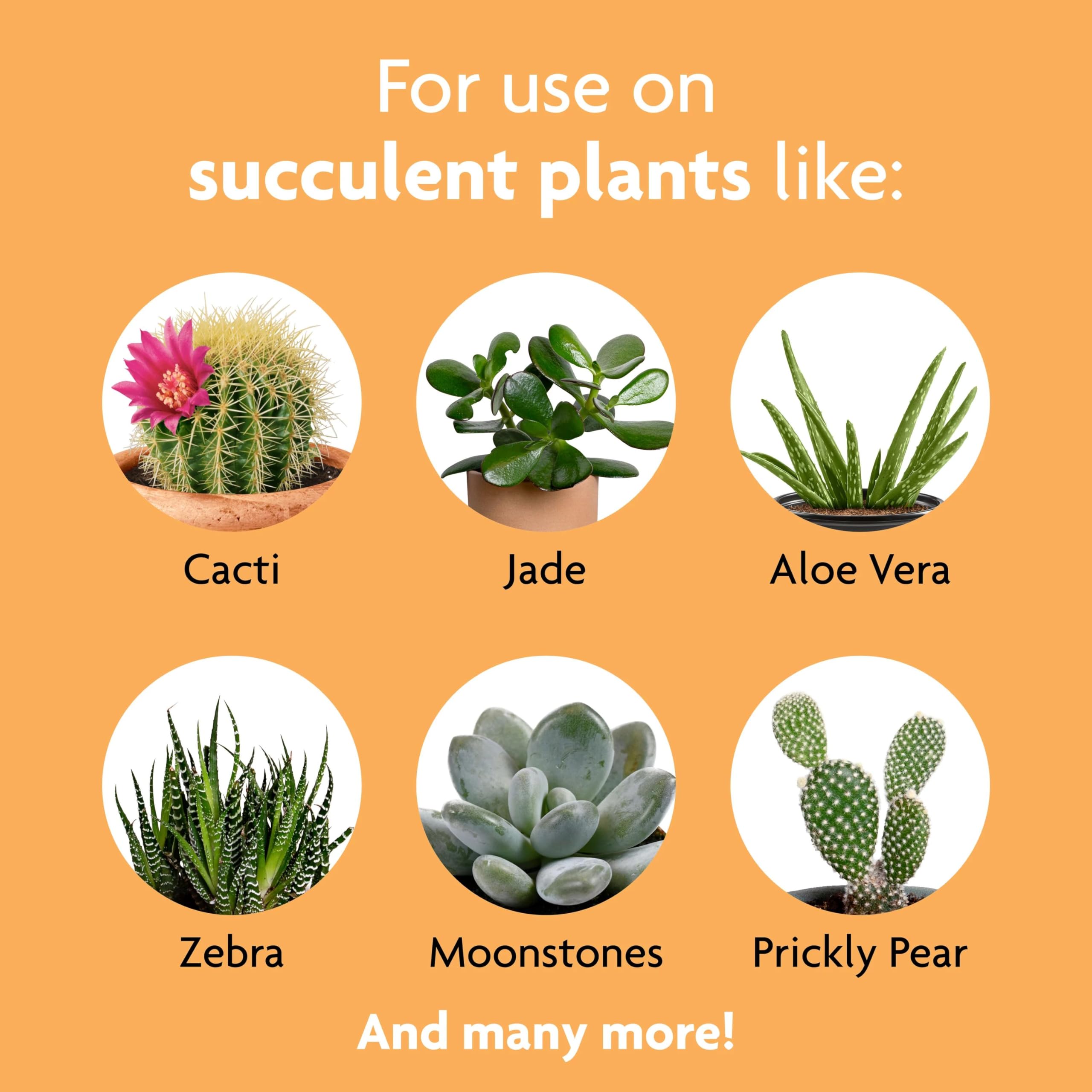 Miracle-Gro Succulent Plant Food mixed with water in watering can