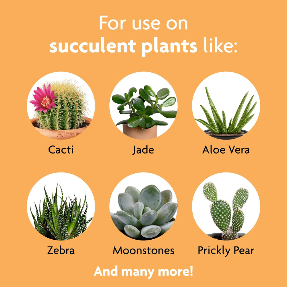 Miracle-Gro Succulent Plant Food mixed with water in watering can