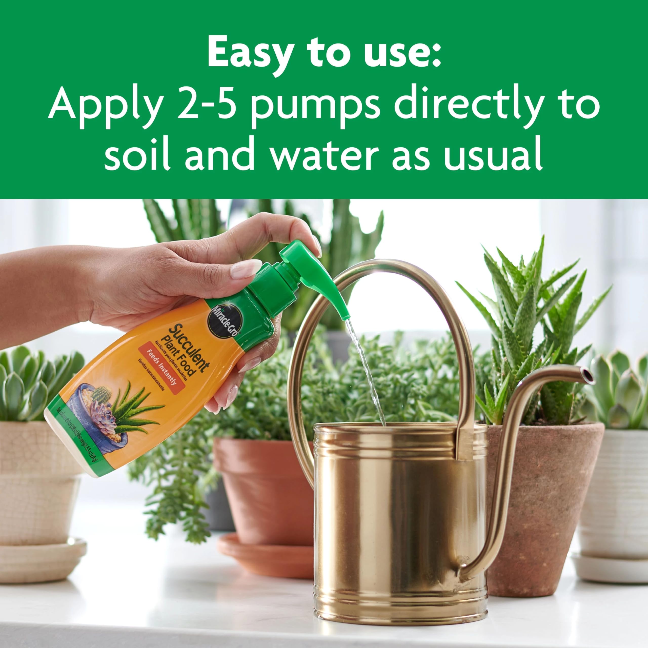 Miracle-Gro Succulent Plant Food on a kitchen counter
