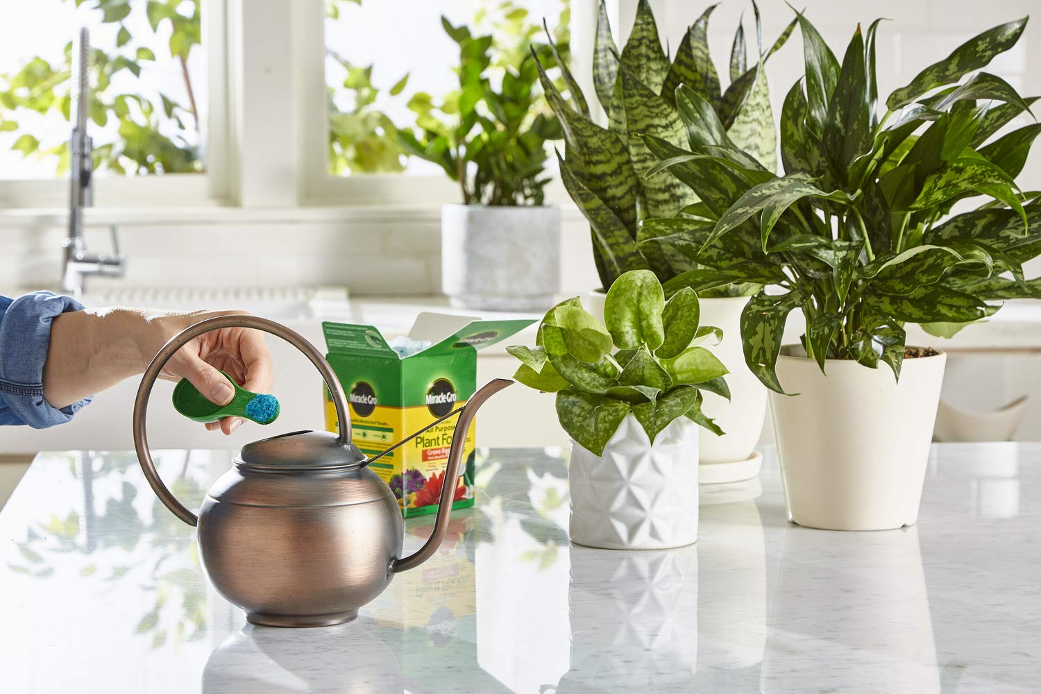 Miracle-Gro Water Soluble All Purpose Plant Food in use with a watering can
