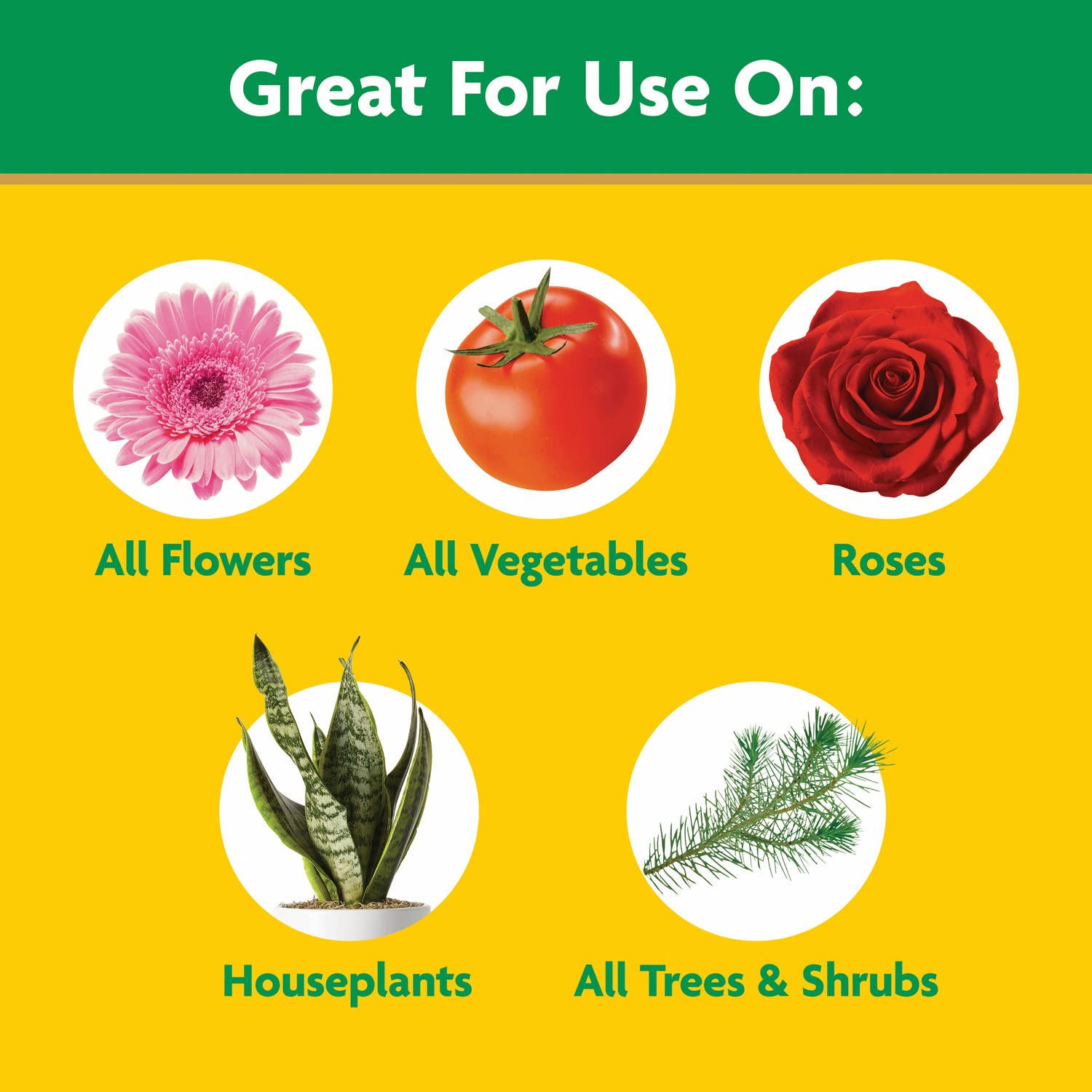 Miracle-Gro Water Soluble All Purpose Plant Food used on a garden