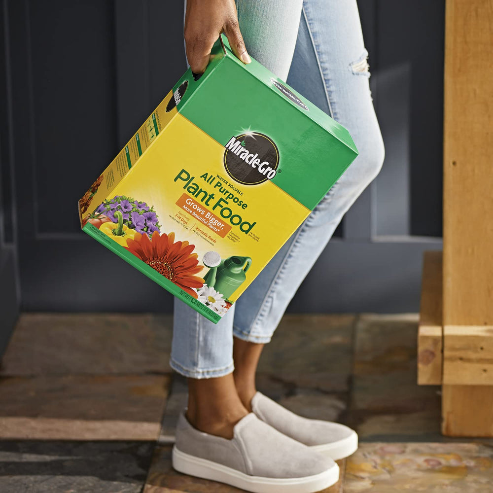 Miracle-Gro Water Soluble All Purpose Plant Food with measuring scoop
