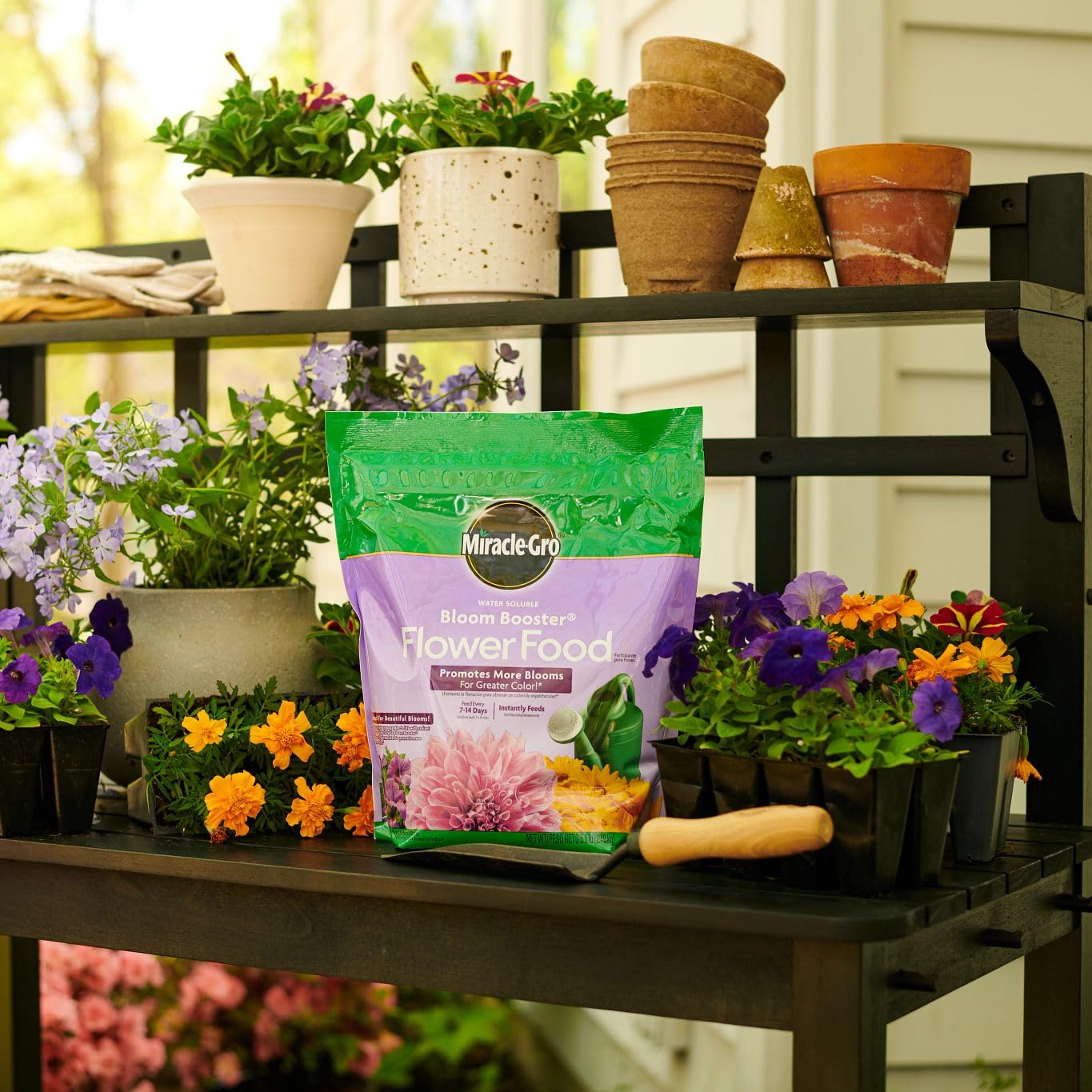 Miracle-Gro water-soluble flower food mixed in a watering can