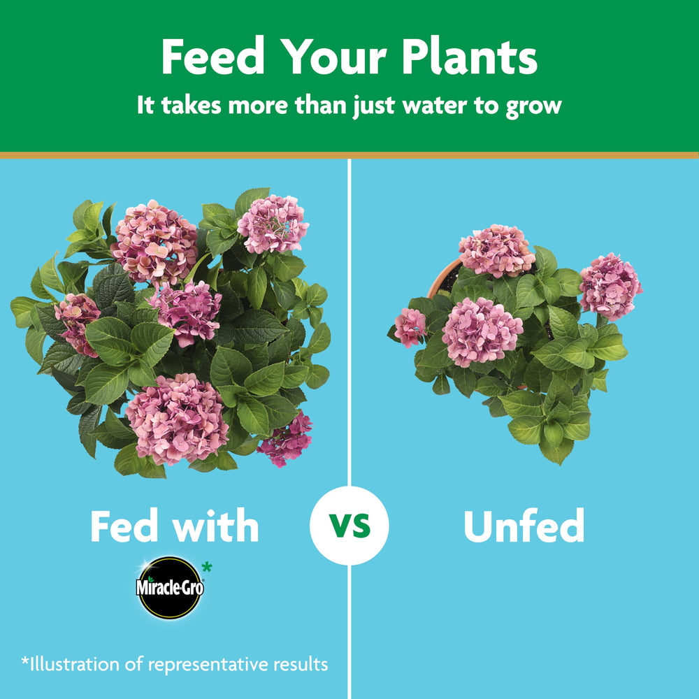 Miracle-Gro Water Soluble Plant Food in a garden setting