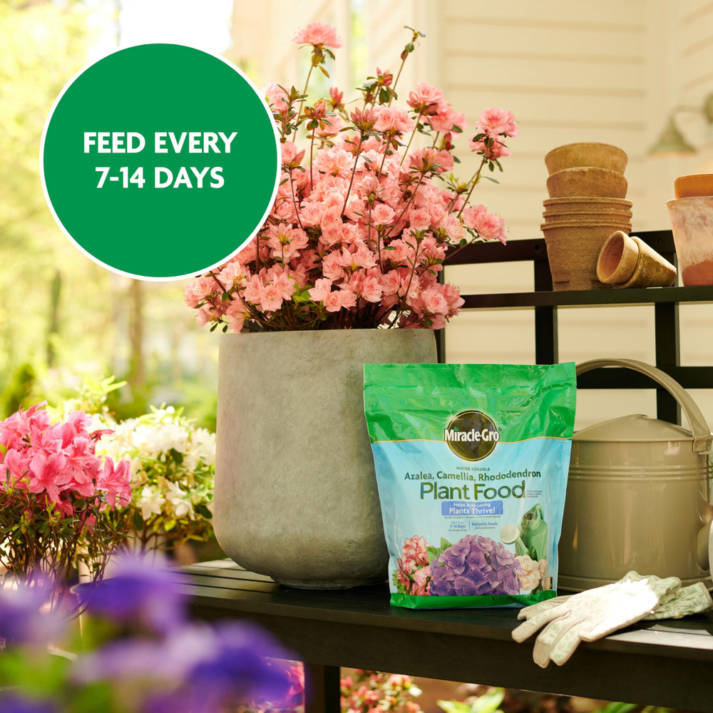 Miracle-Gro Water Soluble Plant Food usage instructions on package