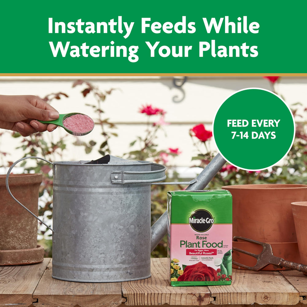 Miracle-Gro Water Soluble Rose Plant Food in garden setting