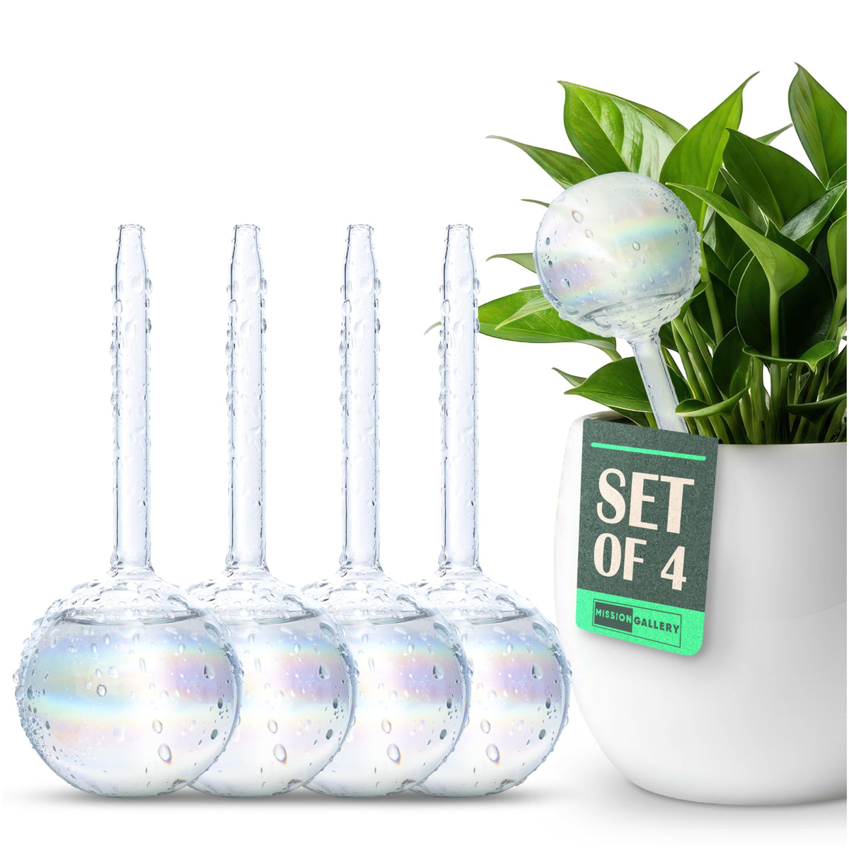 Mission Gallery clear plant watering globe front view
