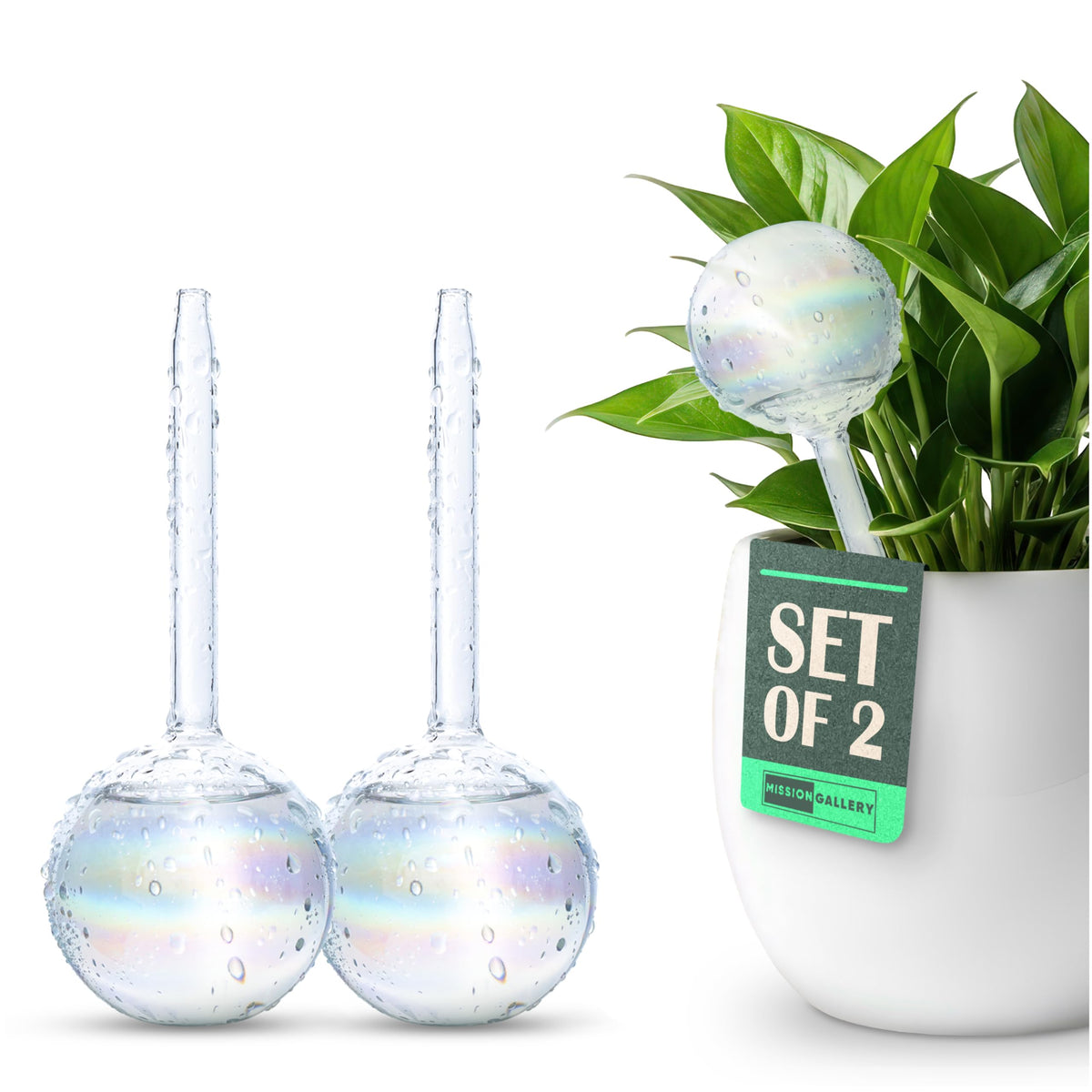 Mission Gallery clear plant watering globes set of 2, front view