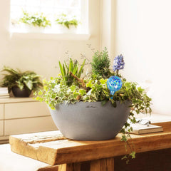 Mission Gallery Plant Watering Globe side view, showing 200 ml capacity