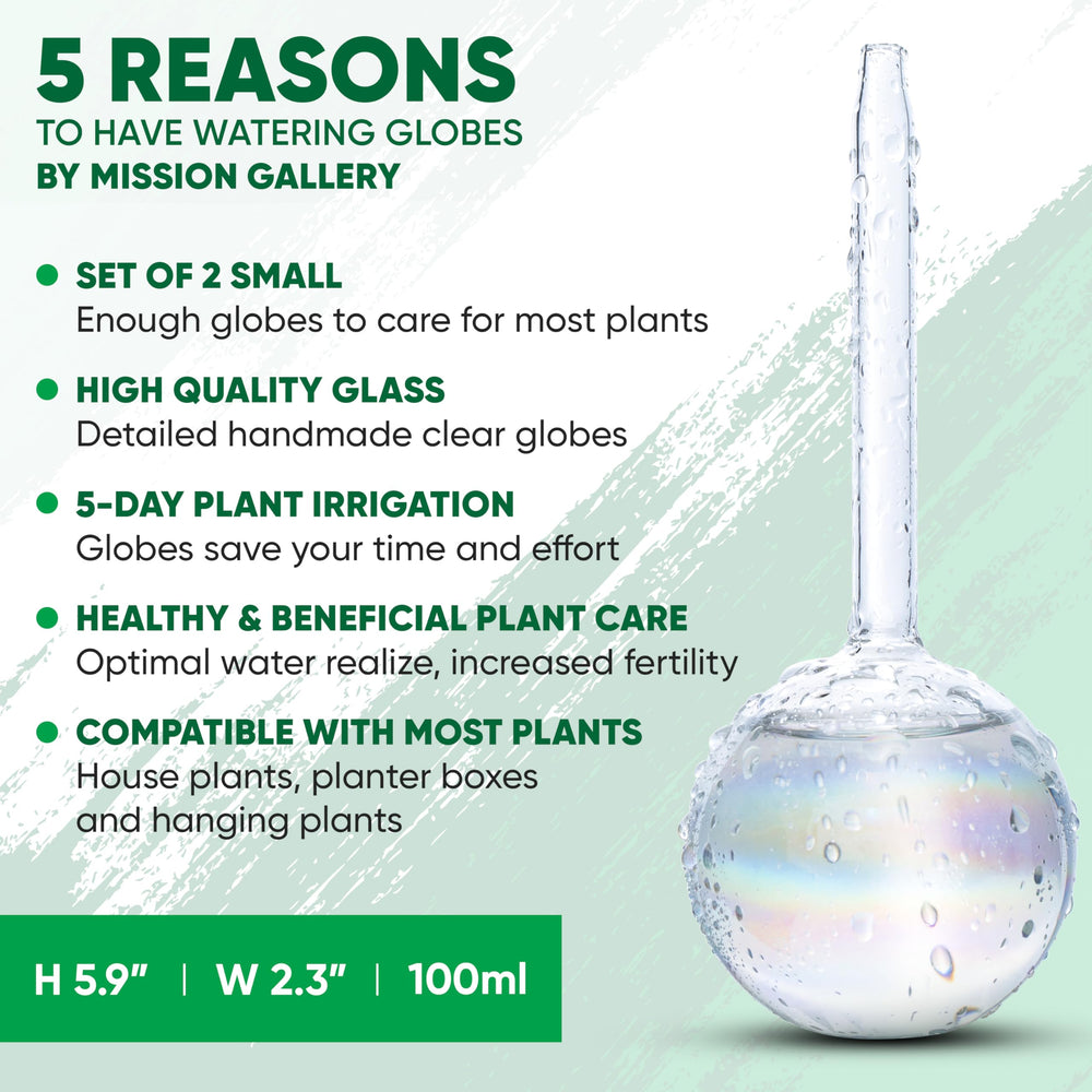 Mission Gallery watering globe in use with indoor plant
