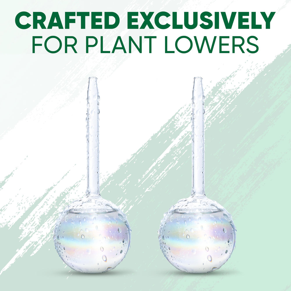 Mission Gallery watering globes set on a green garden background