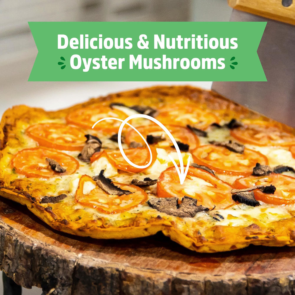 Mister included in the Back to the Roots Mushroom Grow Kit