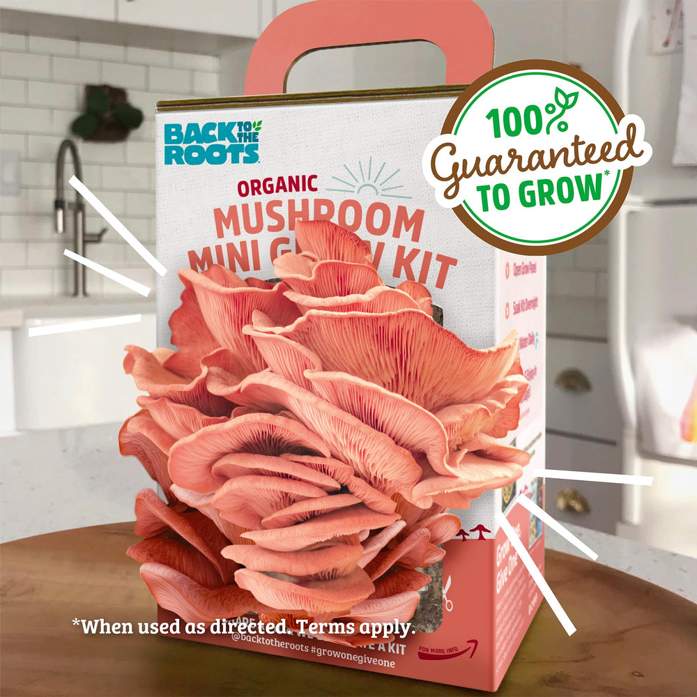 Mister included in the Back to the Roots Mushroom Grow Kit