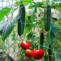 Miuezuth Trellis Netting 16.4' x 6.6' front view