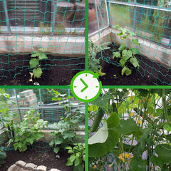 Miuezuth Trellis Netting demonstrating plant support