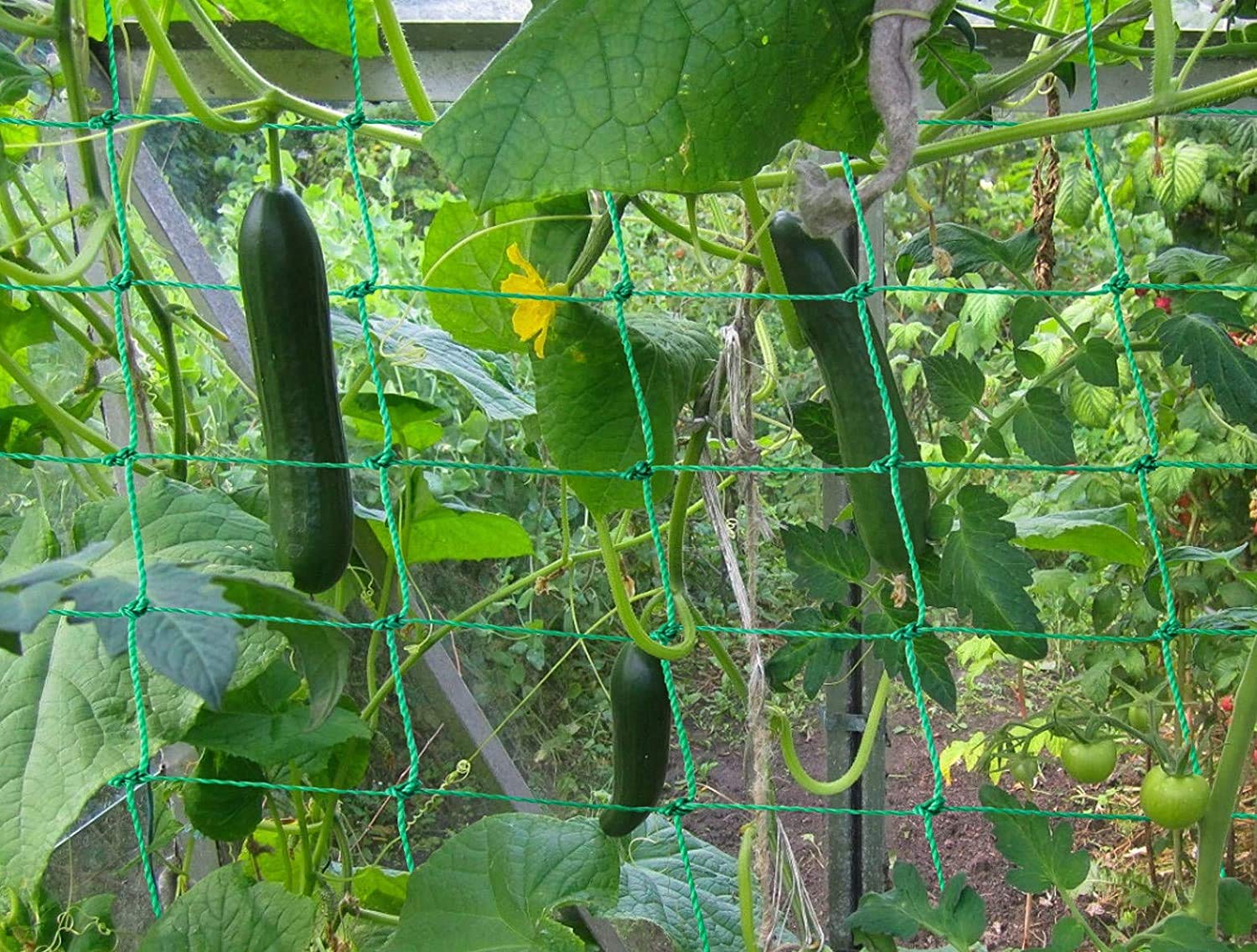 Miuezuth Trellis Netting green nylon material close-up
