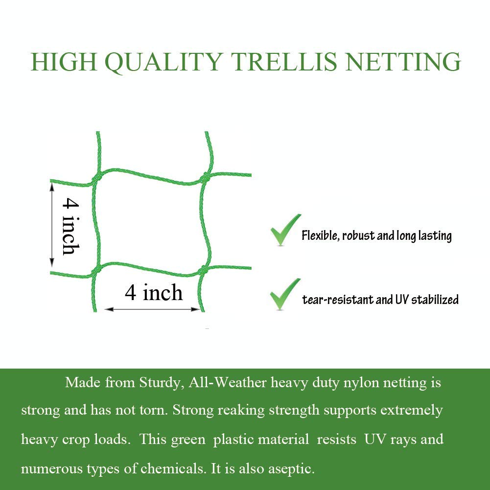 Miuezuth Trellis Netting hanging over climbing plants