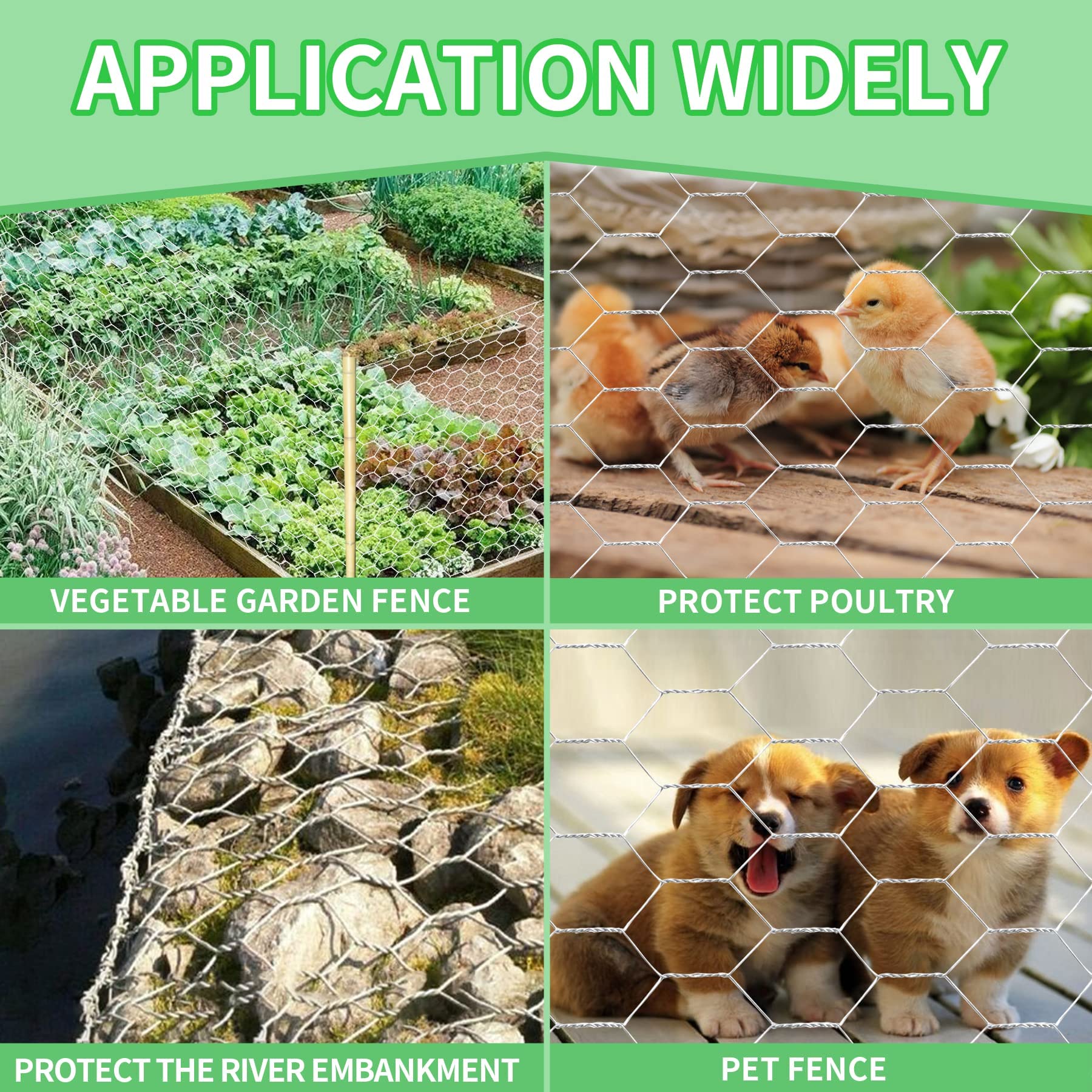 Miuwauer chicken wire installed around vegetable garden