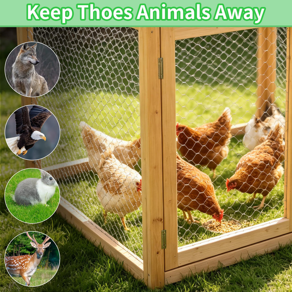 Miuwauer chicken wire showing hexagonal mesh structure
