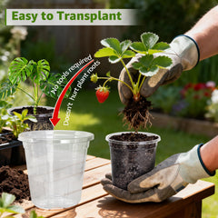MIXC 10-inch nursery pot for mature plants