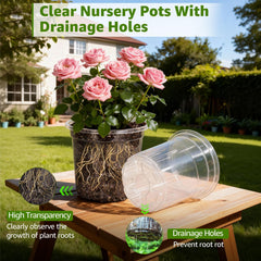 MIXC 5-inch nursery pot with seedlings inside