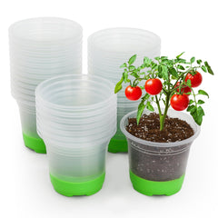MIXC Clear Nursery Pot 5-inch with green silicone base front view