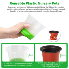 MIXC Clear Nursery Pot with flexible silicone base