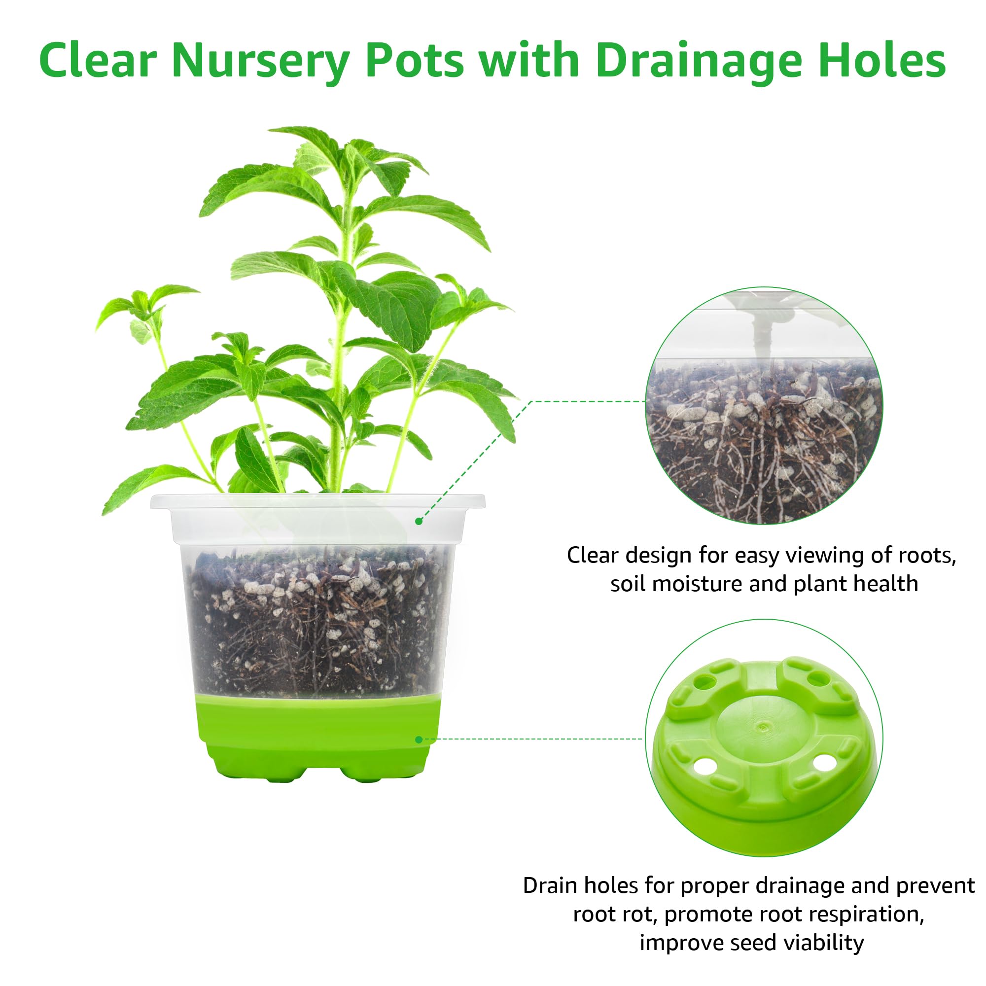 MIXC Clear Nursery Pot with soil and seedling