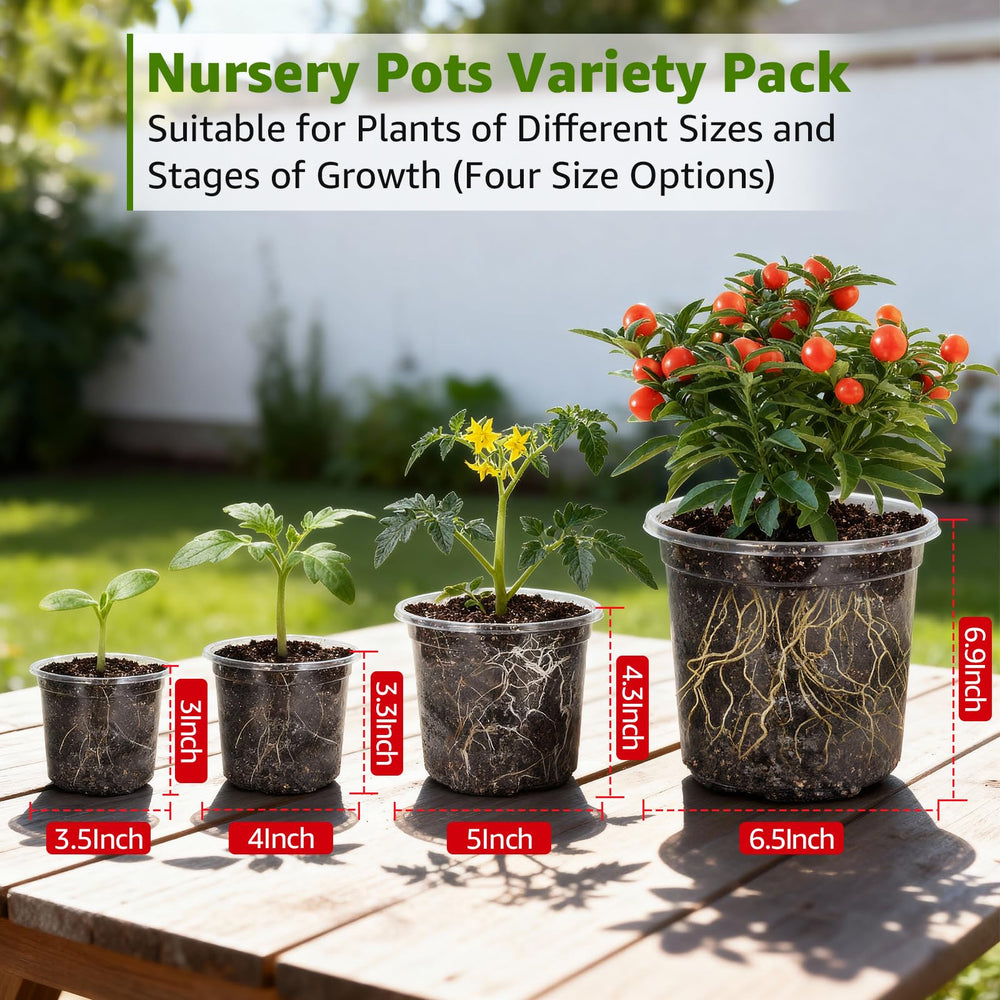 MIXC Clear Nursery Pots 36 pieces variety pack display