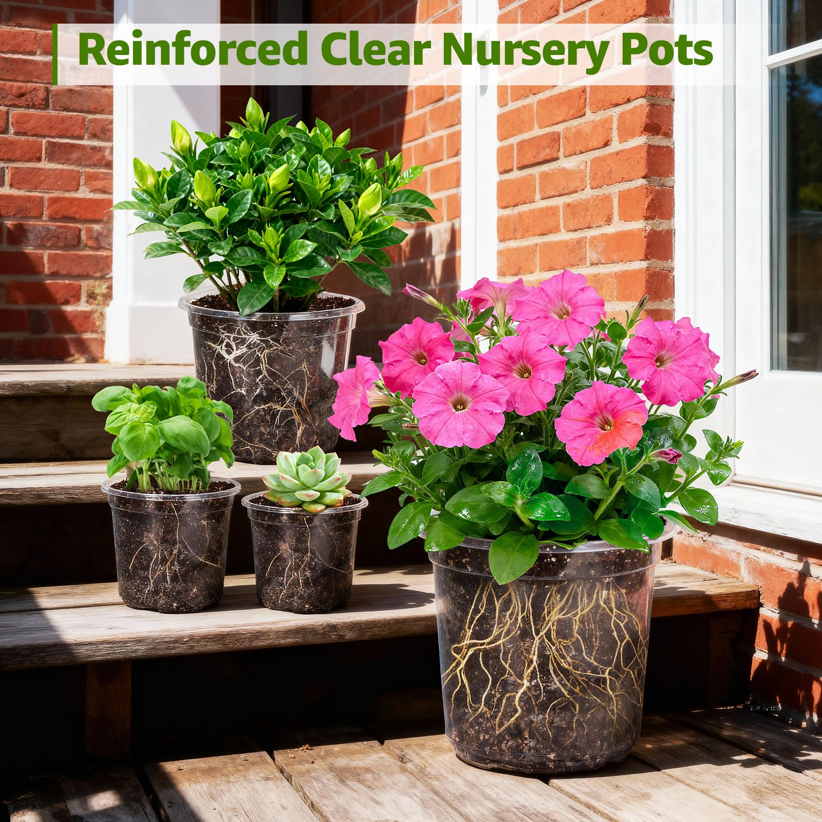 MIXC Clear Nursery Pots drainage holes close-up