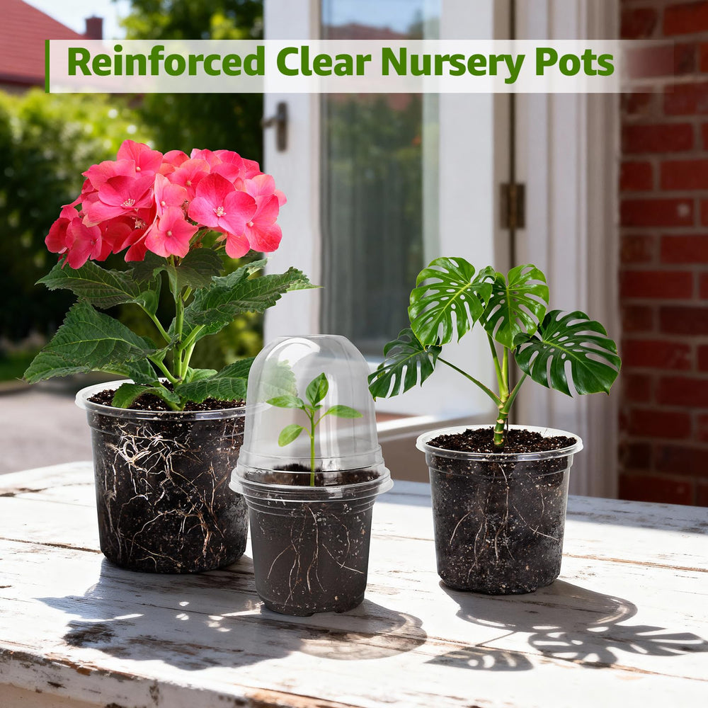 MIXC Clear Nursery Pots in garden setup