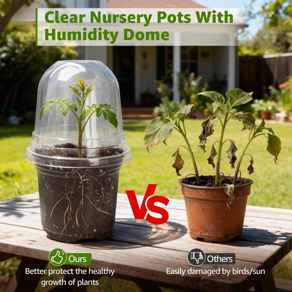MIXC Clear Nursery Pots set of 30 with humidity domes
