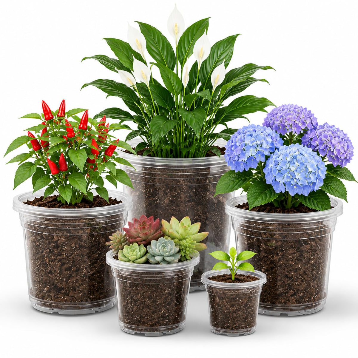 MIXC Clear Nursery Pots set showing various sizes from 3.5 to 8 inches