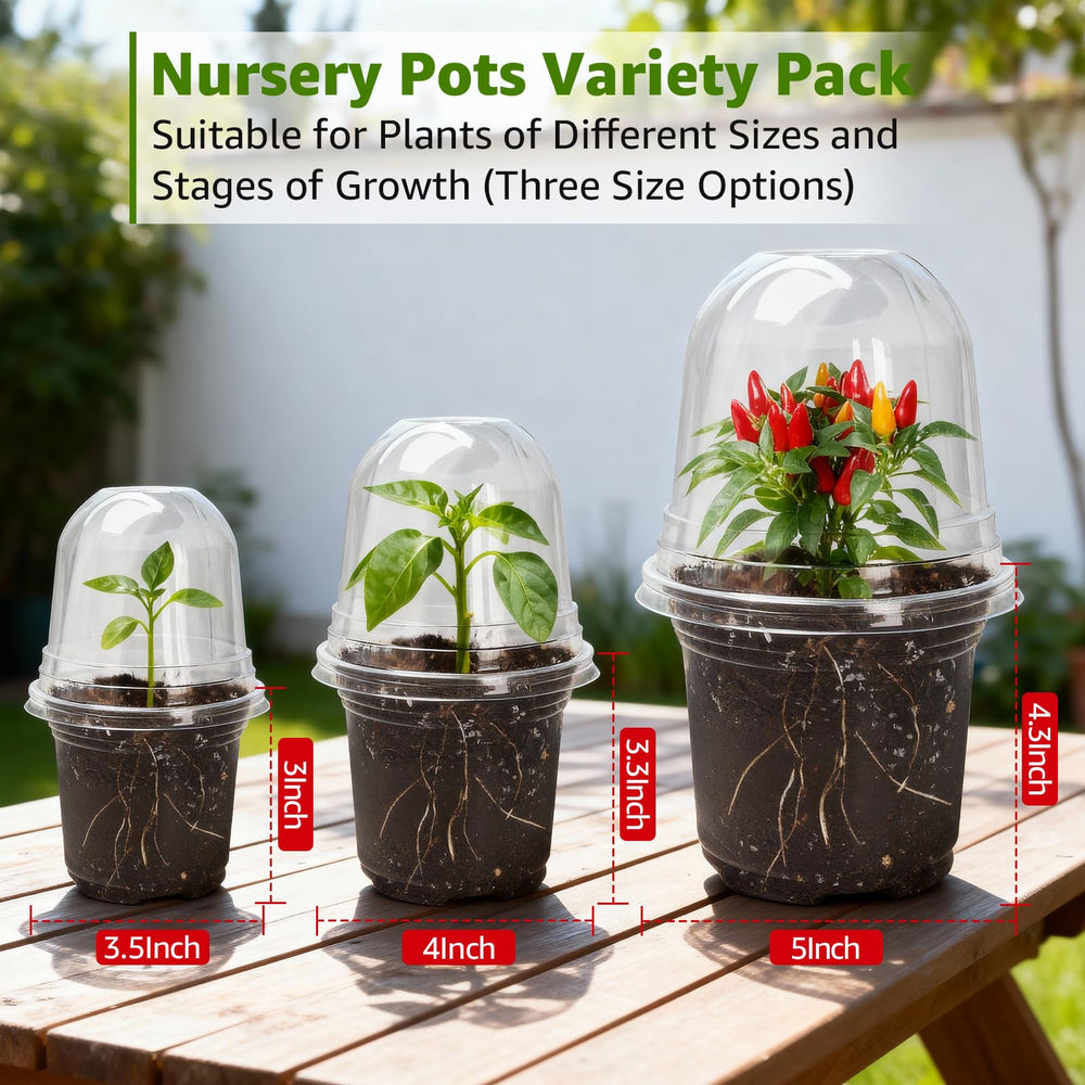 MIXC Clear Nursery Pots showing root development