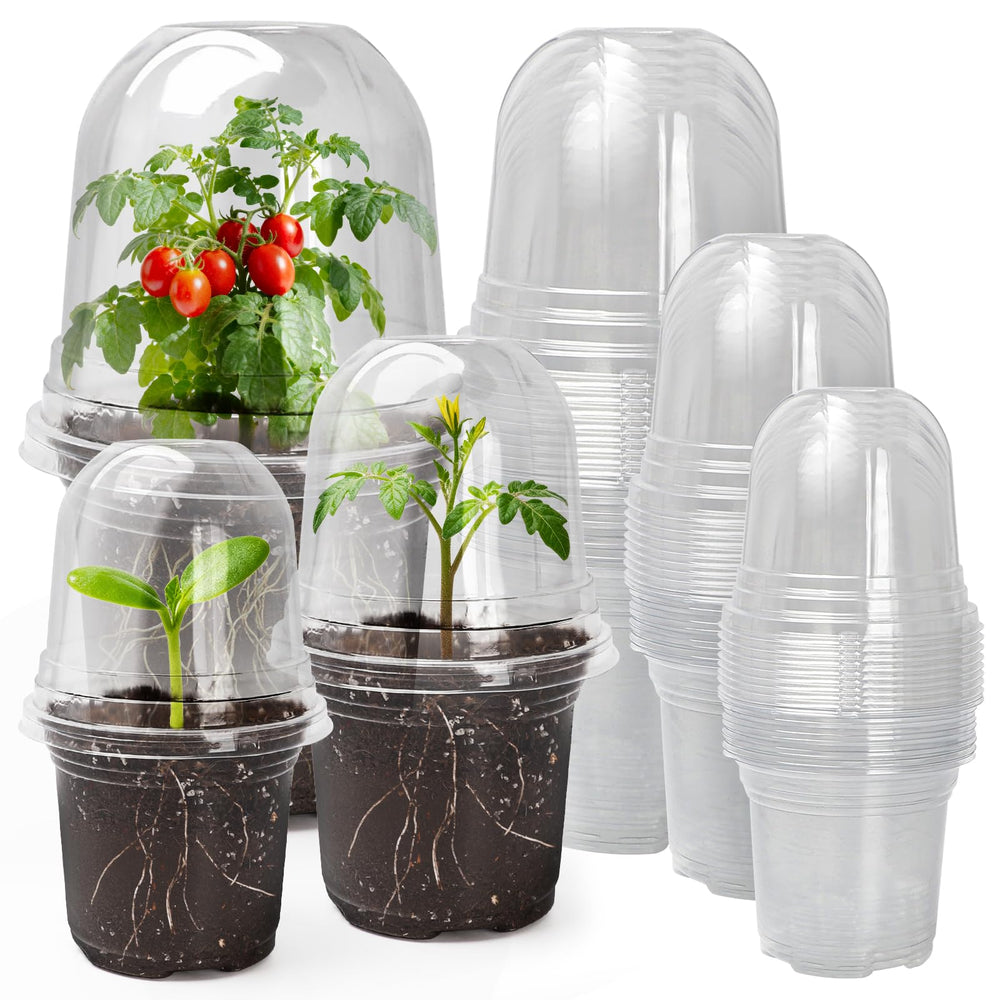 MIXC Clear Nursery Pots transparent with humidity dome