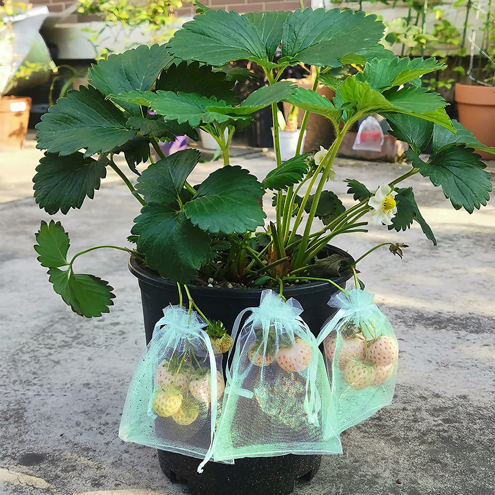 MIXC fruit protection bags outdoors protecting fruits
