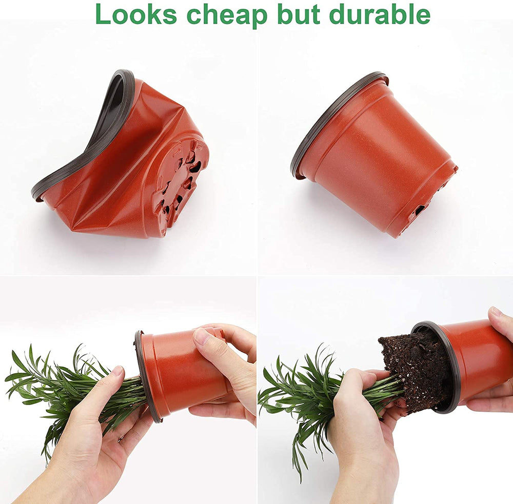 MIXC Nursery Pots showing humidity dome and drainage holes