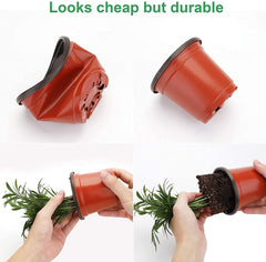 MIXC Nursery Pots showing humidity dome and drainage holes