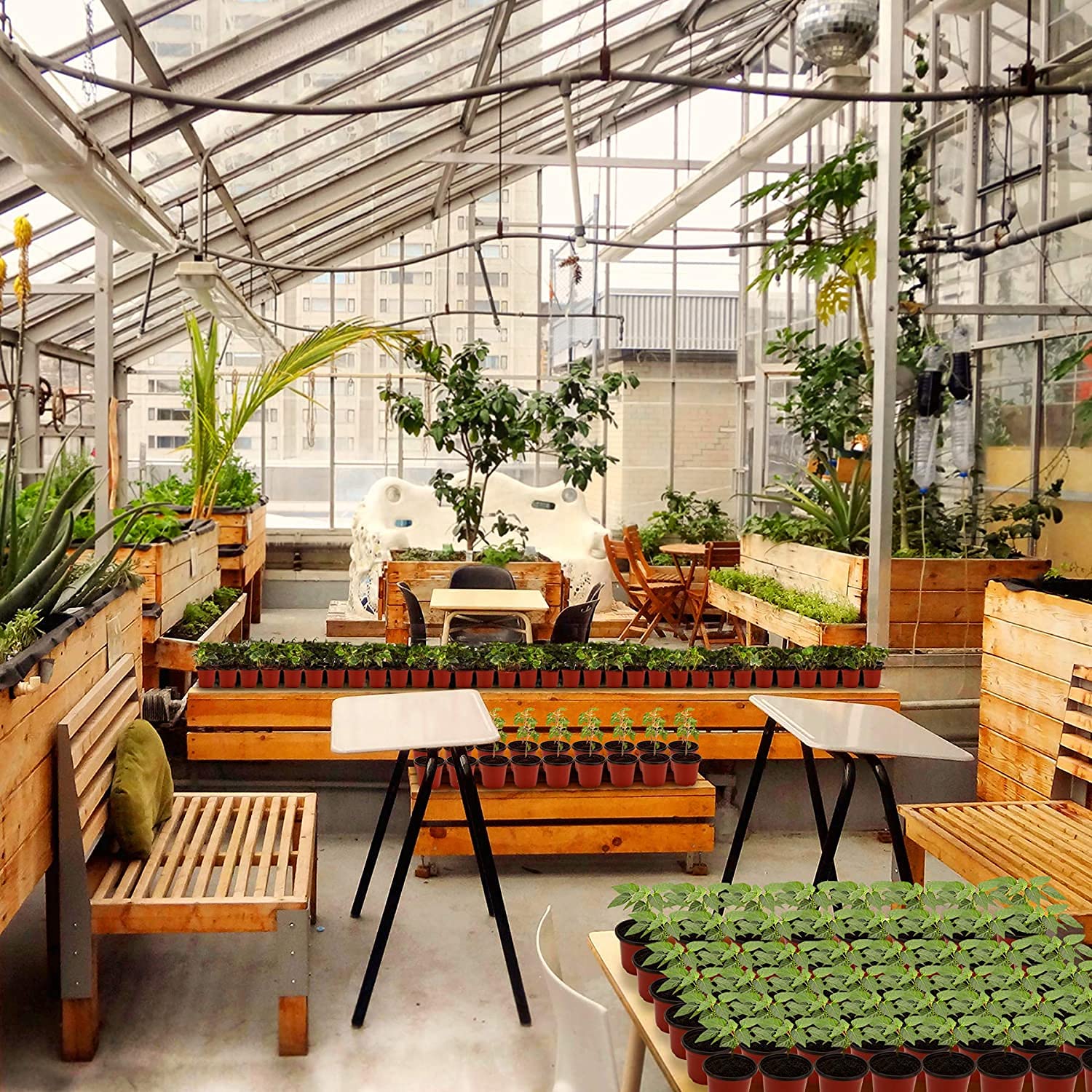 MIXC Nursery Pots with humidity dome in a garden setting