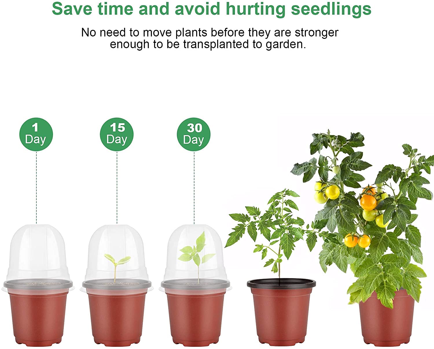 MIXC Nursery Pots with labels included in the pack