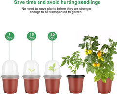MIXC Nursery Pots with labels included in the pack