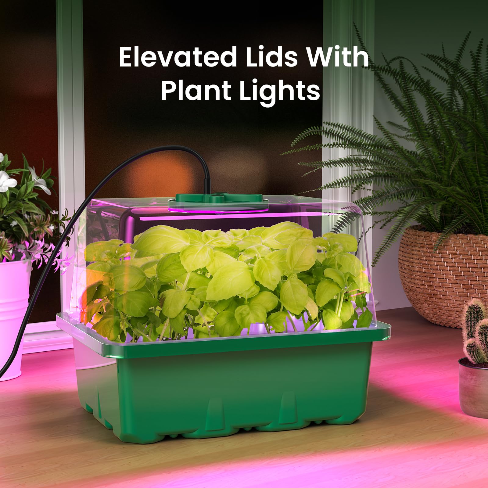 MIXC Seed Starter Kit in use for indoor gardening
