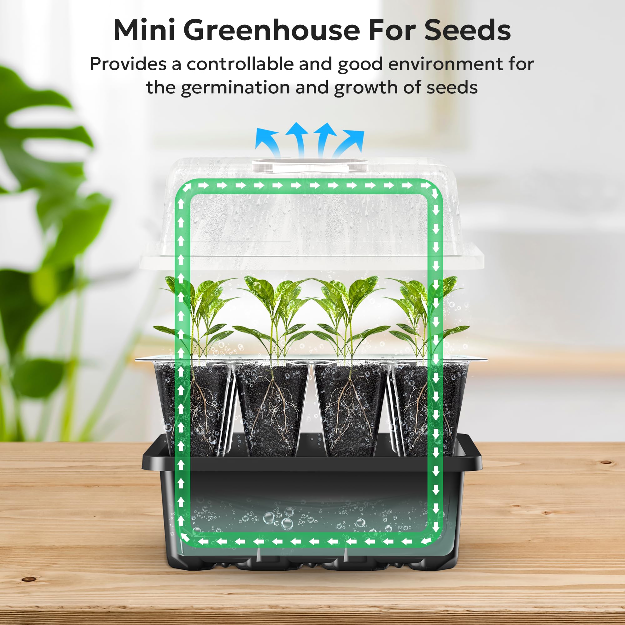 MIXC seed starter tray set with plant labels
