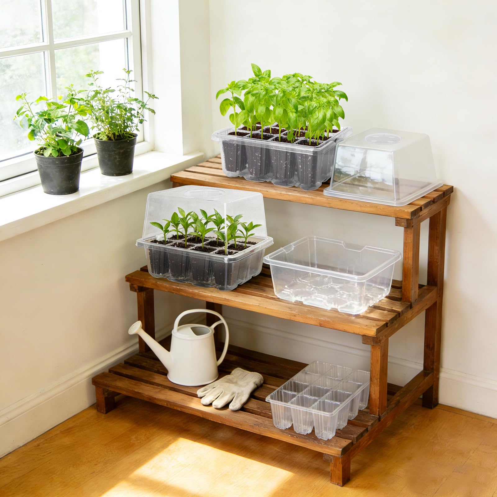MIXC Seed Starter Tray showcasing healthy seedling growth