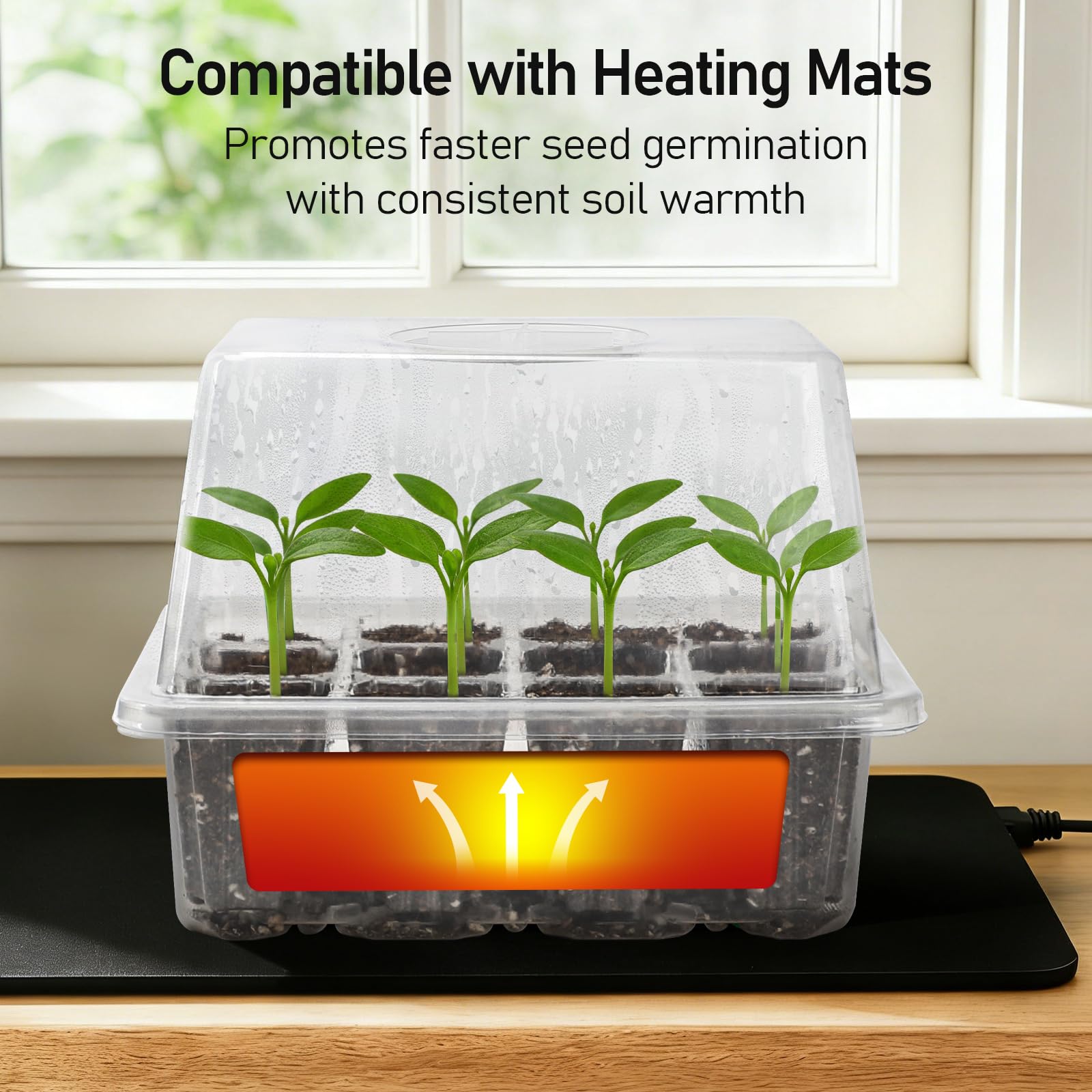 MIXC Seed Starter Tray with clear dome and base tray