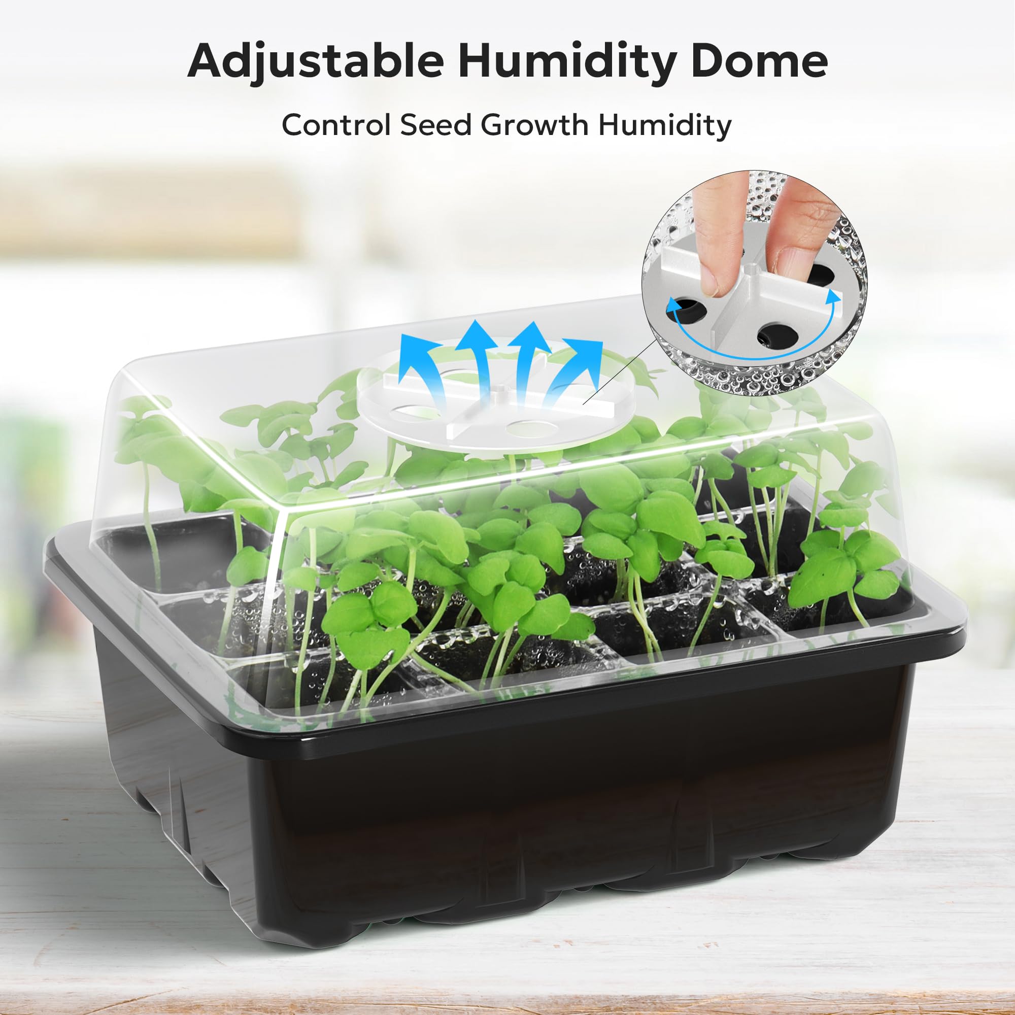 MIXC seed starter tray with small seeds planted